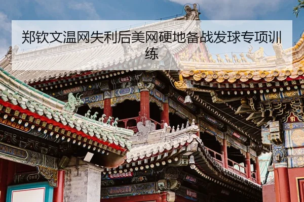 zheng-qin-wen-wen-wang-shi-li-hou-mei-wang-ying-di-bei-zhan-fa-qiu-zhuan-xiang-xun-lian-3-484.jpg