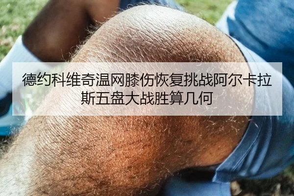 德约科维奇温网膝伤恢复挑战阿尔卡拉斯五盘大战胜算几何